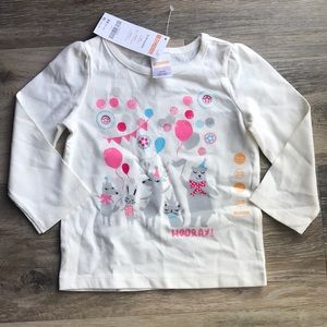 🔥NWT Long Sleeve Gymboree Tee